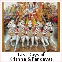 The Grip of Karma - Last Days of Krishna and the Pandavas