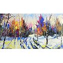 Colors of Nature in Winter
