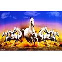 Galloping Horses