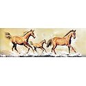 Galloping Beauties
