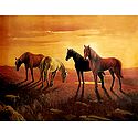 Graceful Horses - Poster