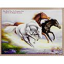 Wild Horse Race