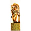 Royal Bengal Tiger