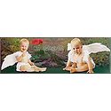Baby Angels