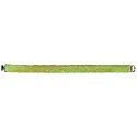 Light Green Stretchable Belt