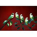 Parrots Enjoying the Morning Sun