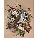Singing Bird