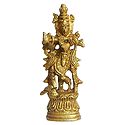 Lord Krishna