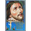 Jesus Christ Wearing the Crown of Thorns