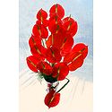 Red Anthurium