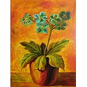 Flower Pot