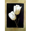 White Tulips