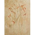 Anthuriums