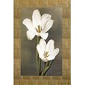 White Lily