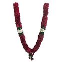 Maroon with White and Green Cloth Garland