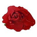 Red Rose Hair Clip