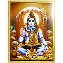 Lord Shiva in Meditation- Unframed Poster