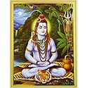Lord Shiva in Meditation - Unframed Poster