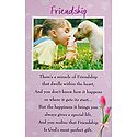 Miracle of Friendship