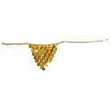 Golden Jhalar Kamarband Only for Front