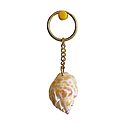 Designer Shell Key Chain
