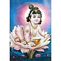 Bal Gopala