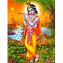 Murlidhar Krishna