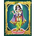 Murlidhar Krishna