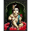 Krishna Sitting on Lotus