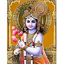 Young Krishna