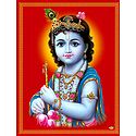 Young Krishna - Poster