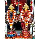 Nitai Gaur - Photo Print