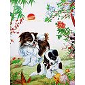 Cute Puppies