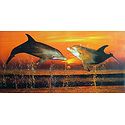 Two Dolphins Dancing in the Ocean During Sunset