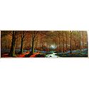 Riverside Forest