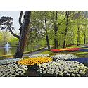 Keukenhof Garden in Amsterdam, Holland