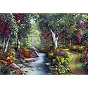 A Stream in the Forest
