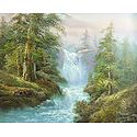 Waterfalls in the Forest
