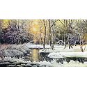 Winter Landscape