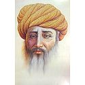 Portrait of a Old Man