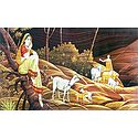 Shepherd Couple
