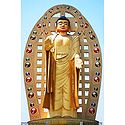 Lord Buddha, Dehradun - Uttarakhand