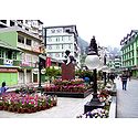 M.G Road Market During Spring, Gangtok - East Sikkim, India