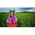 Grass Cutter Picture - Unframed Photo Print on Paper