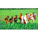 Indian Farmers Picture - Unframed Photo Print on Paper
