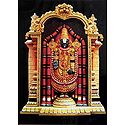 Lord Venkateshwara Photographic Print