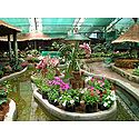 Namgyal Memorial Park, Gangtok - East Sikkim, India