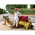 Lonely Traveler with Camel from Rajasthan