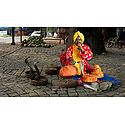 Snake Charmer Photo - Unframed Photo Print on Paper