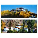 Alchi Temple and Matho Monastery, Ladakh - Set of 2 Postcards